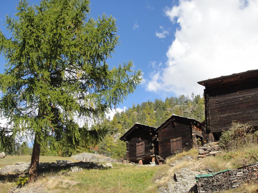 Haus Alpenstern Apartment Saas-Grund Bagian luar foto