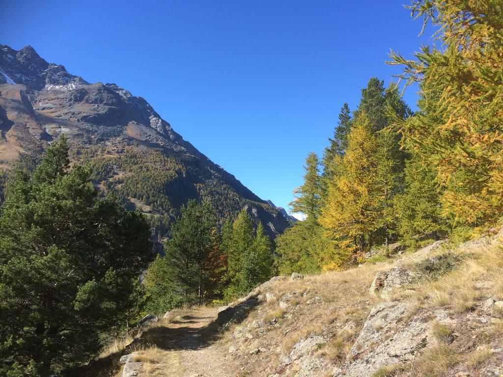 Haus Alpenstern Apartment Saas-Grund Bagian luar foto