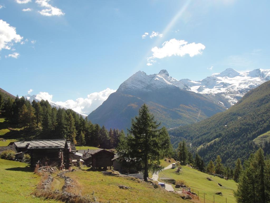 Haus Alpenstern Apartment Saas-Grund Bagian luar foto
