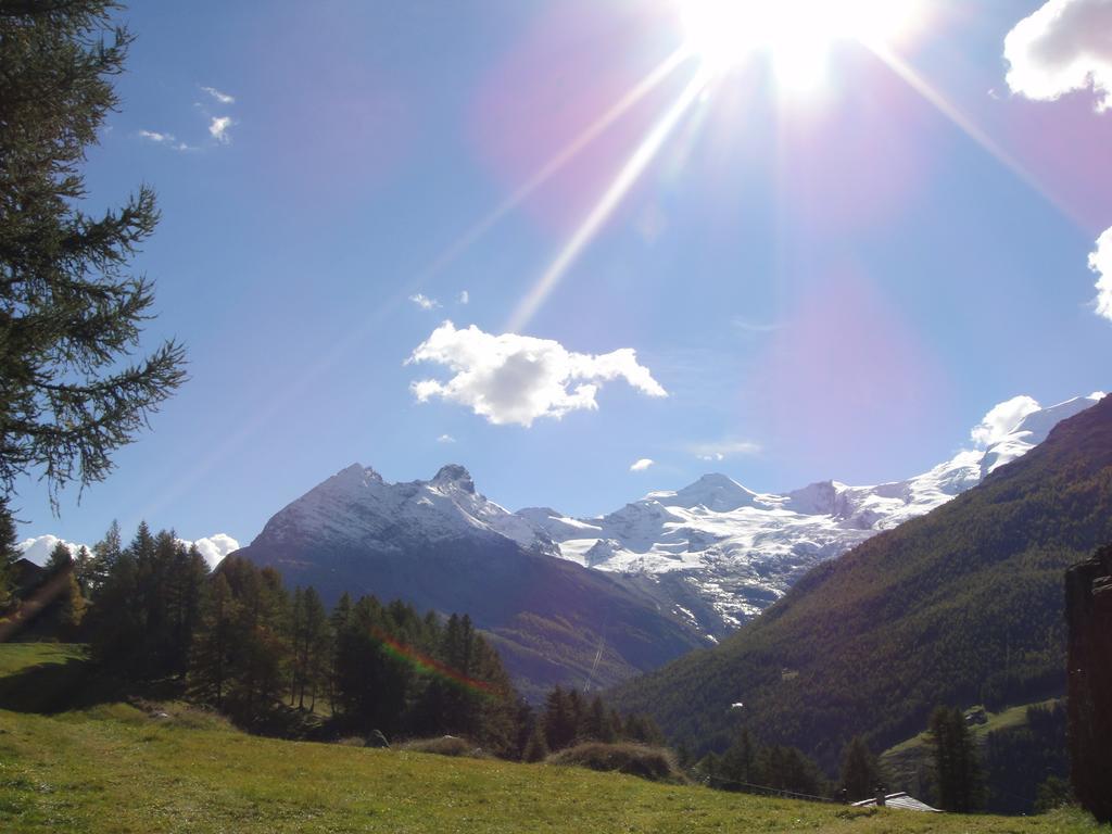 Haus Alpenstern Apartment Saas-Grund Bagian luar foto