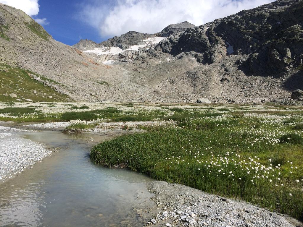 Haus Alpenstern Apartment Saas-Grund Bagian luar foto