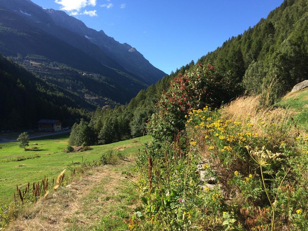 Haus Alpenstern Apartment Saas-Grund Bagian luar foto