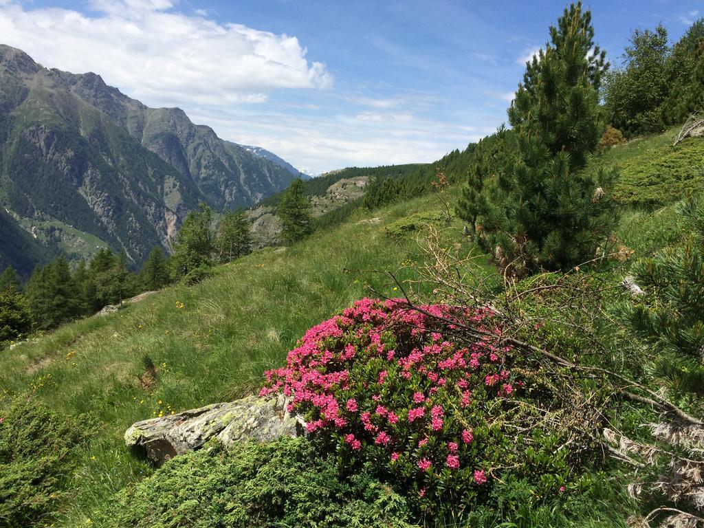 Haus Alpenstern Apartment Saas-Grund Bagian luar foto