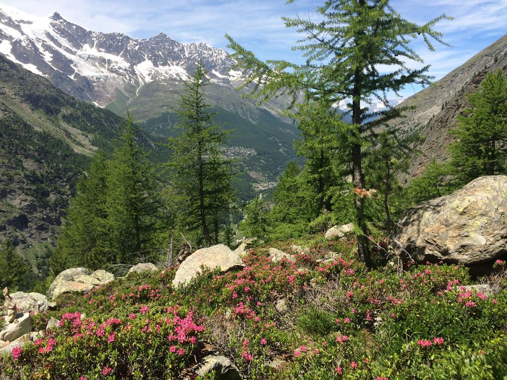 Haus Alpenstern Apartment Saas-Grund Bagian luar foto
